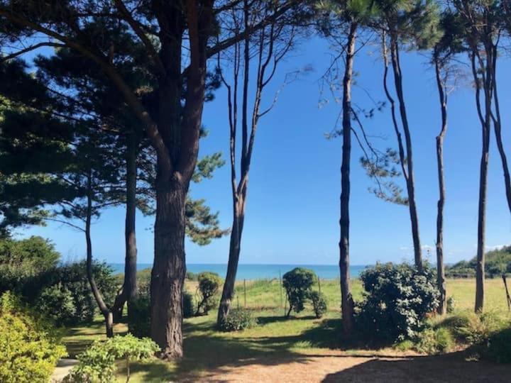 Villa Vue Mer Avec Acces Direct A La Plage Varengeville-sur-Mer Esterno foto